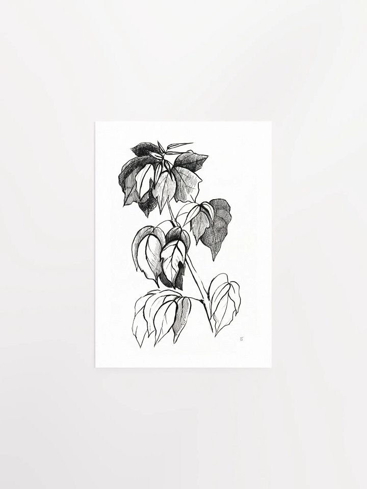 Botanical Bliss Matte Poster - Stylish Graphical Twig product image (1)