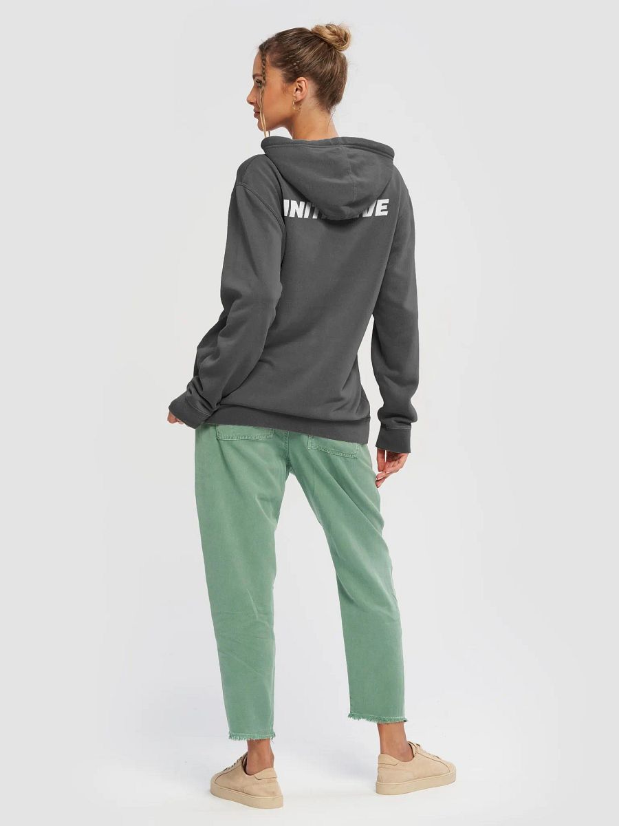 Big Initiative Hoodie product image (9)