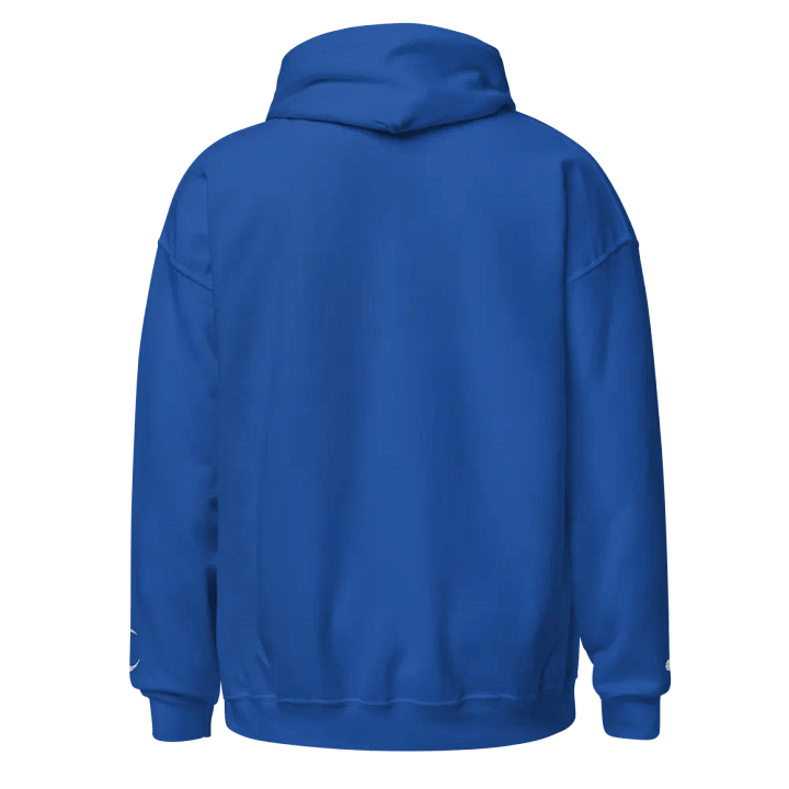 Embroidered "Malfunction" Hoodie product image (2)