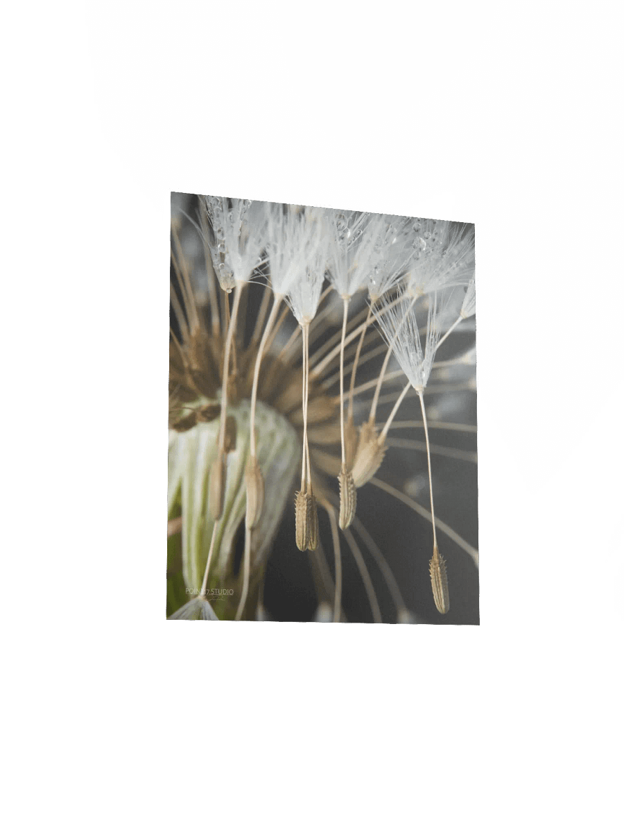 Rapture - Poster product image (5)