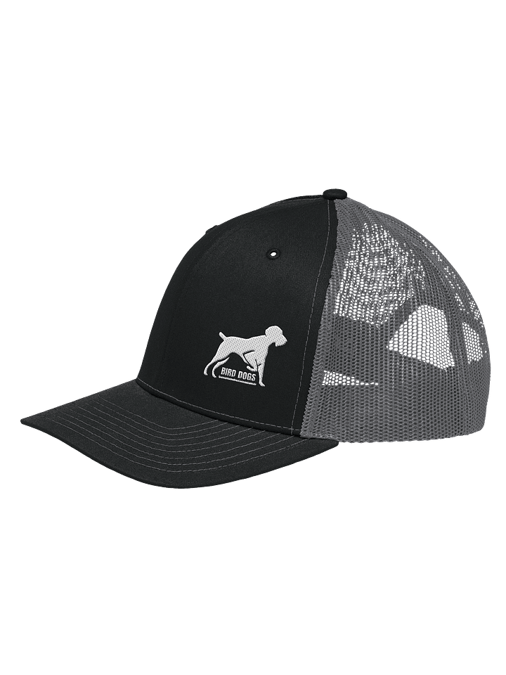 Bird Dogs Baseball Hat product image (5)
