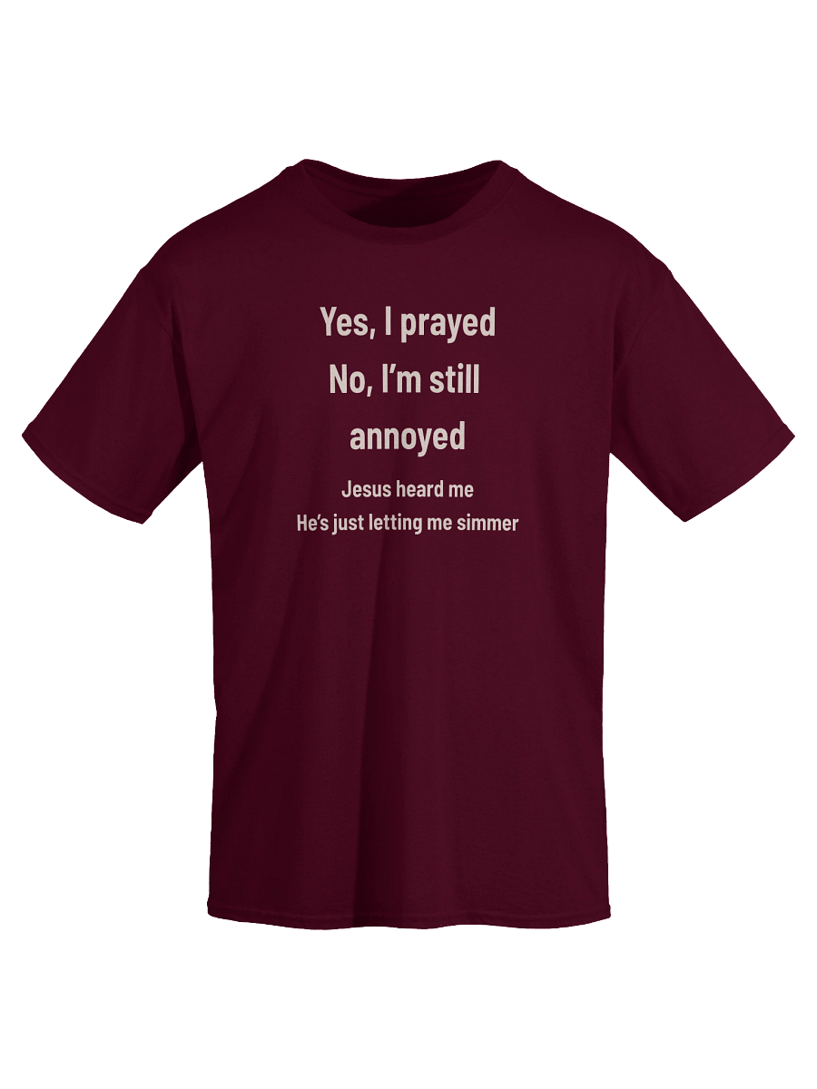Yes, I Prayed — No, I’m Still Annoyed | Funny Faith T-Shirt for the Spiritually Simmering product image (11)