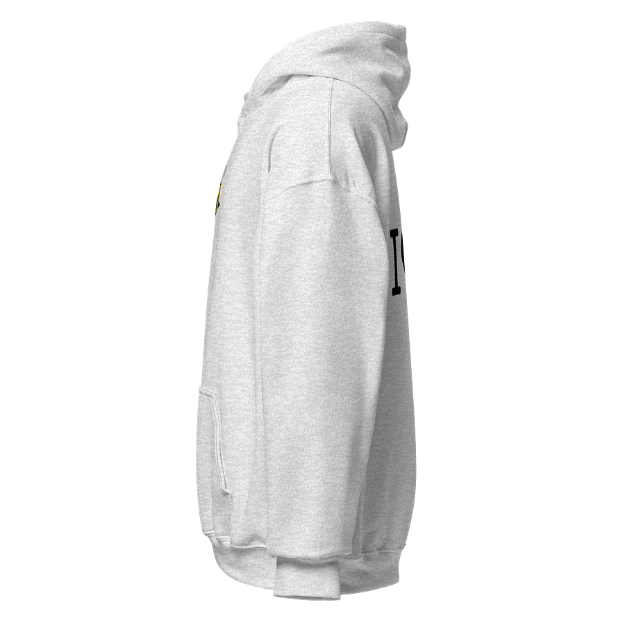 I Love Boo-Bees Embroidered Hoodie product image (3)