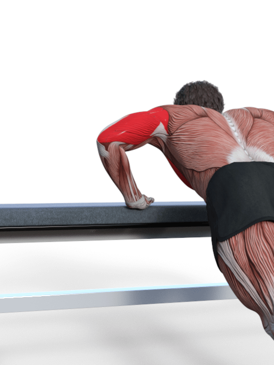 Incline Push-Ups product image (2)