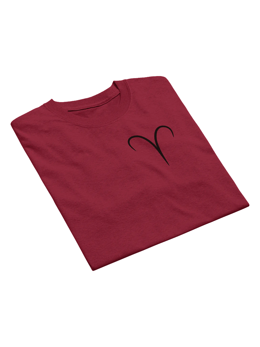 Aries T-shirt product image (4)