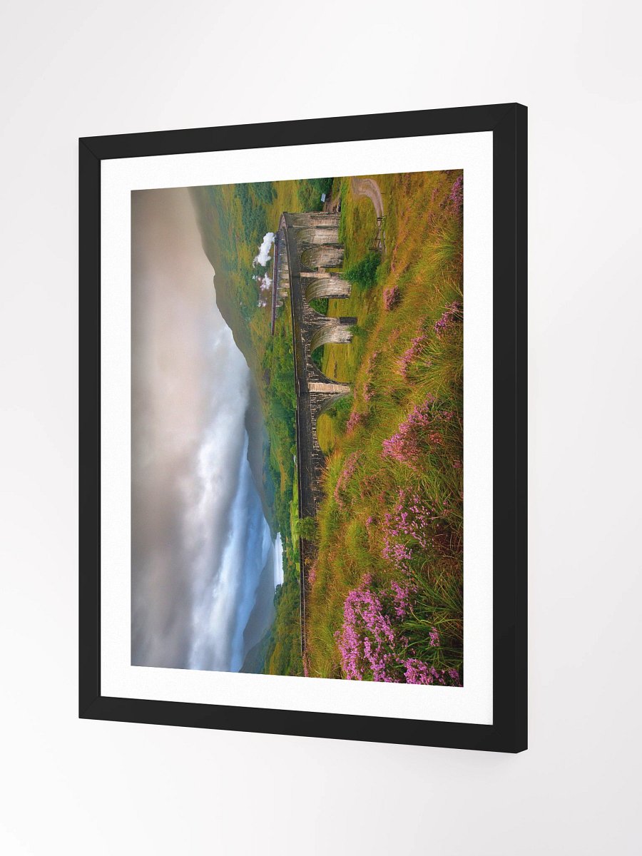 ddddd product image (5)