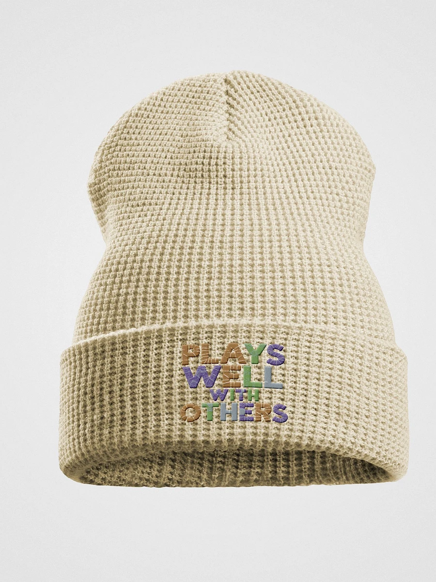 Plays Well With Others embroidered waffle beanie product image (1)