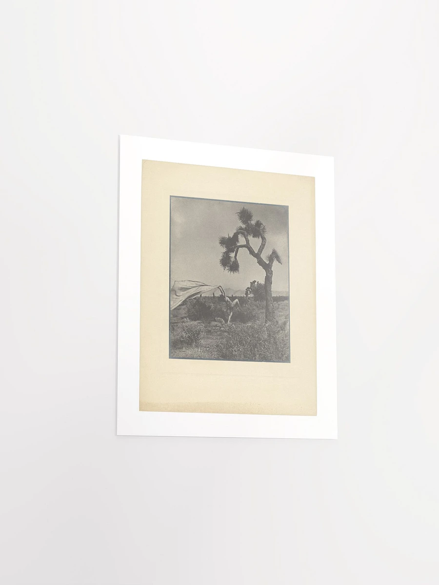 The Desert Wind by Louis Fleckenstein (1930) - Print product image (3)