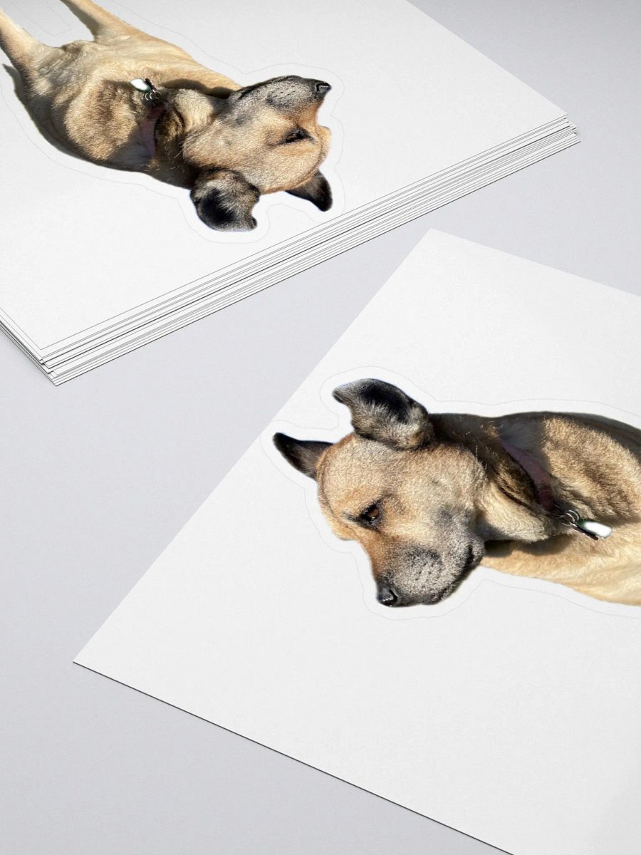 Brinlee sticker product image (4)