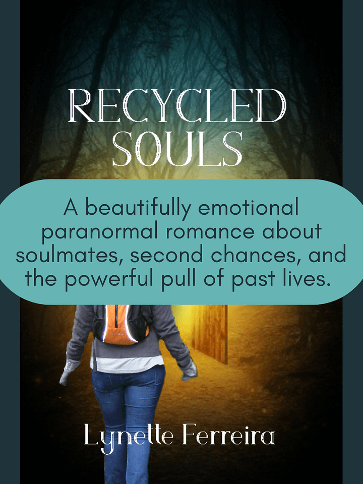 Recycled Souls product image (2)
