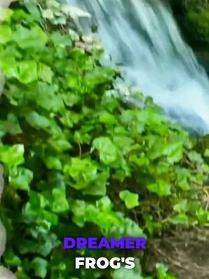 What would YOU choose? Share your thoughts! #DreamerFrog #Surreal #Dreamscape #DecisionTime #Innovation #innovation #leadership #dreamers #strategy #inspiration