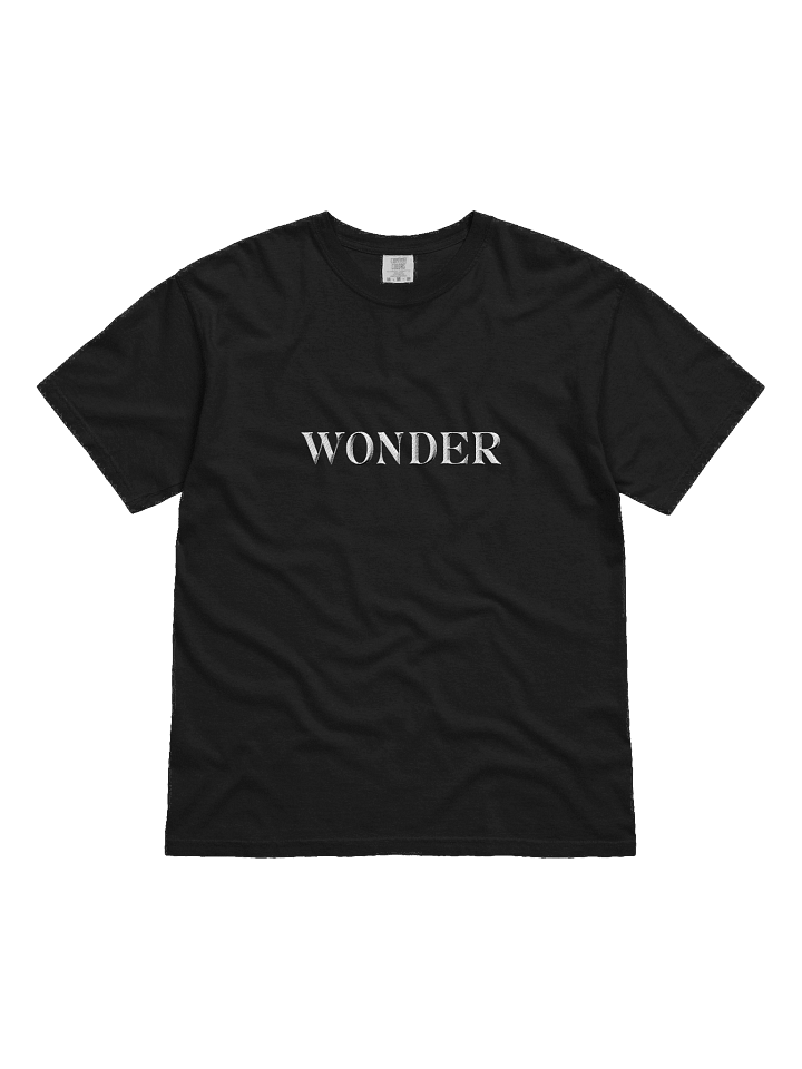 Embroidered Wonder Unisex Tee product image (1)