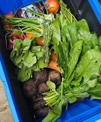 Have you ever looked into a local CSA? 👩🏽‍🌾

If you don't know, CSA stands for Community Supported Agriculture and they are p...