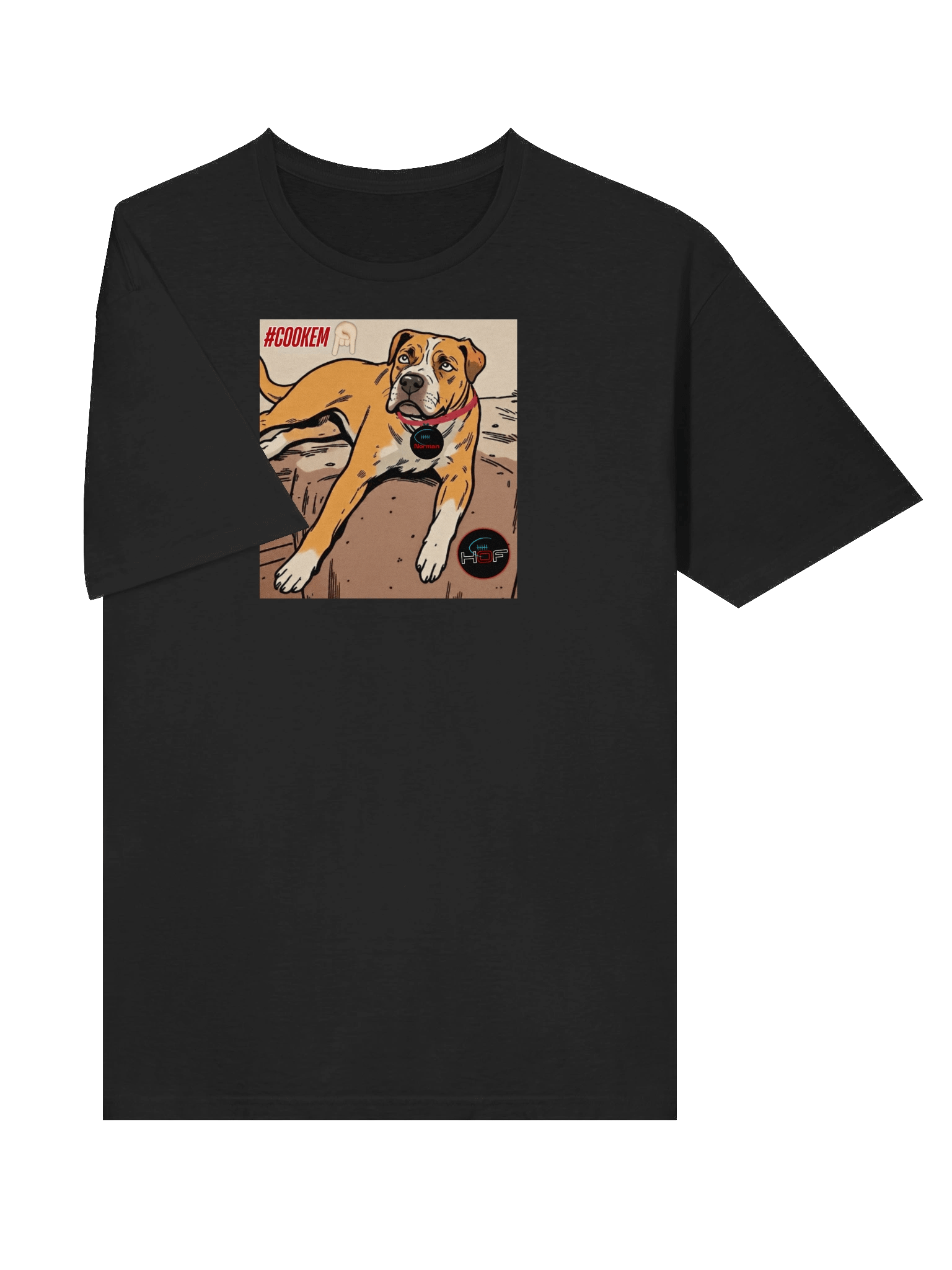 Norman "Cook 'em" Soft Tee product image (23)