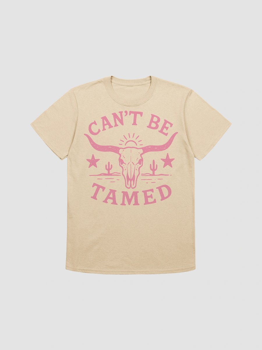 Can’t Be Tamed product image (1)