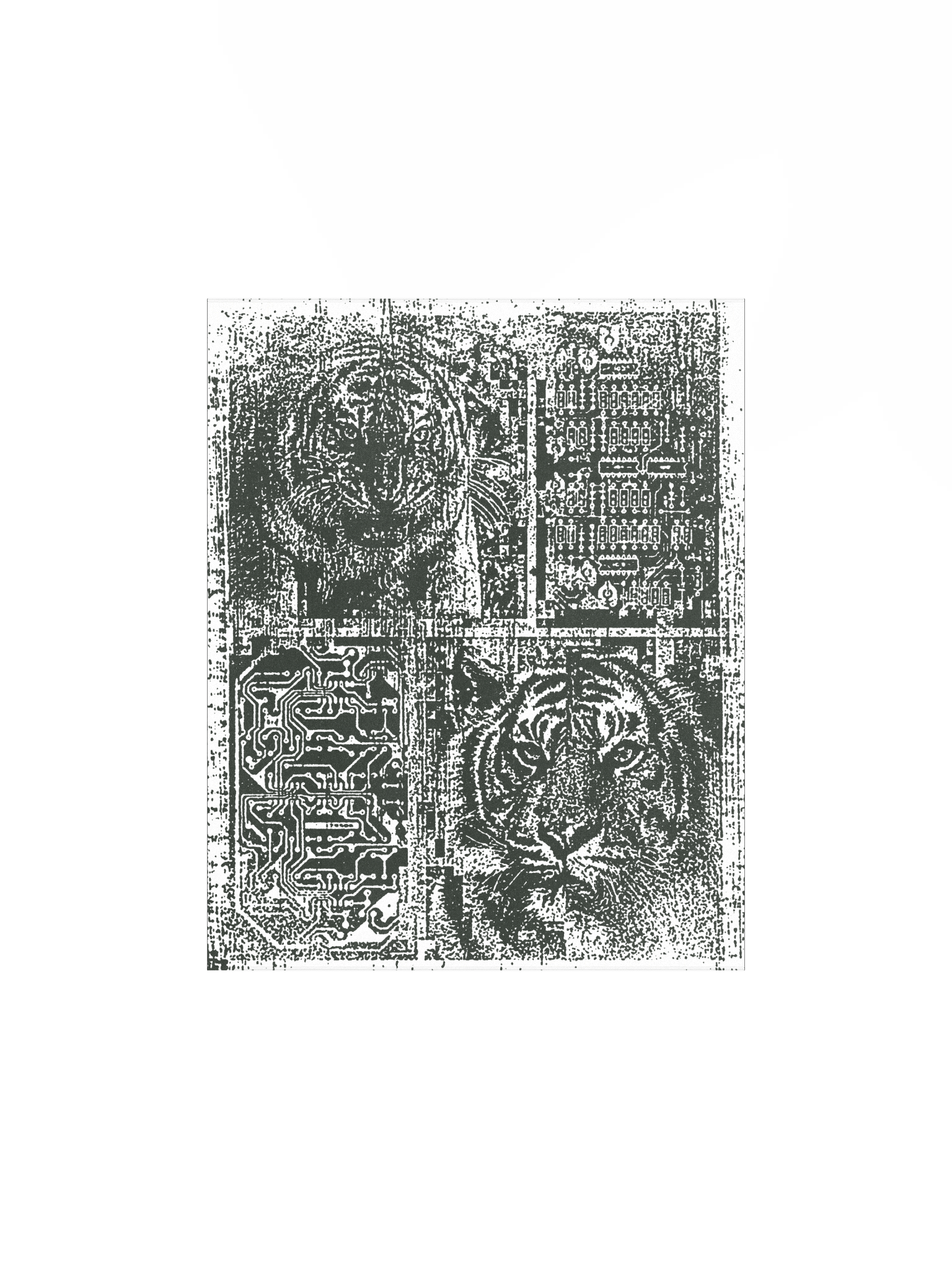 TIGER CHIP product image (1)