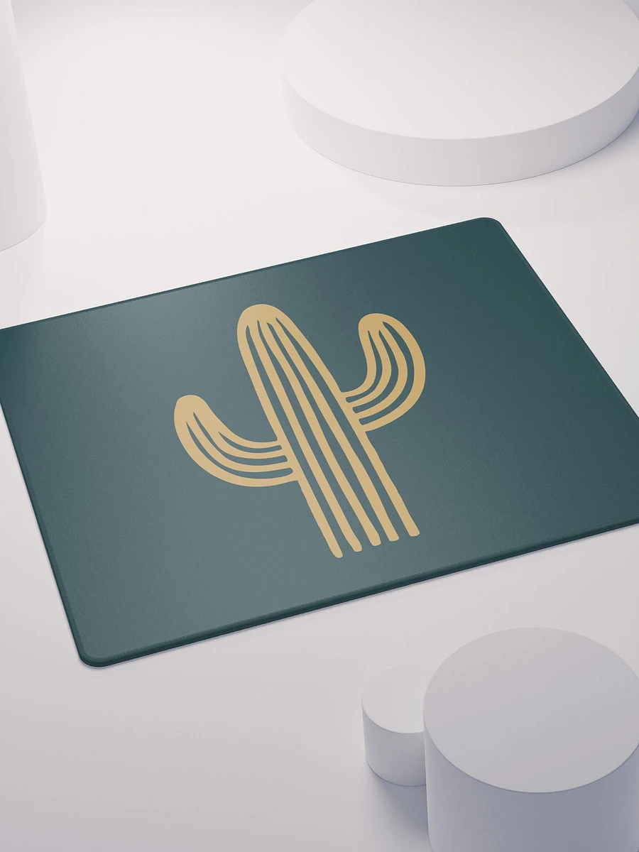 Cactus product image (4)