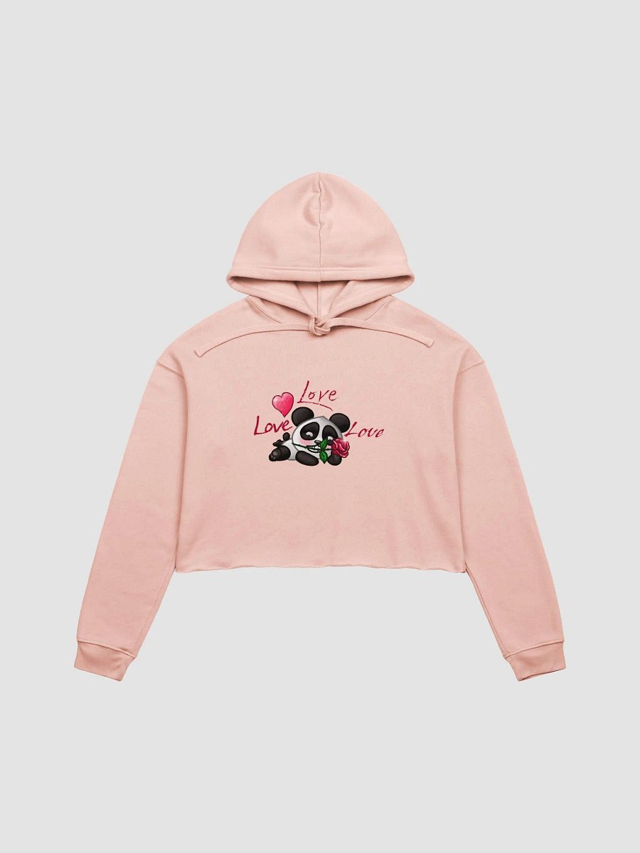 Love Love Love Crop Hoodie product image (2)