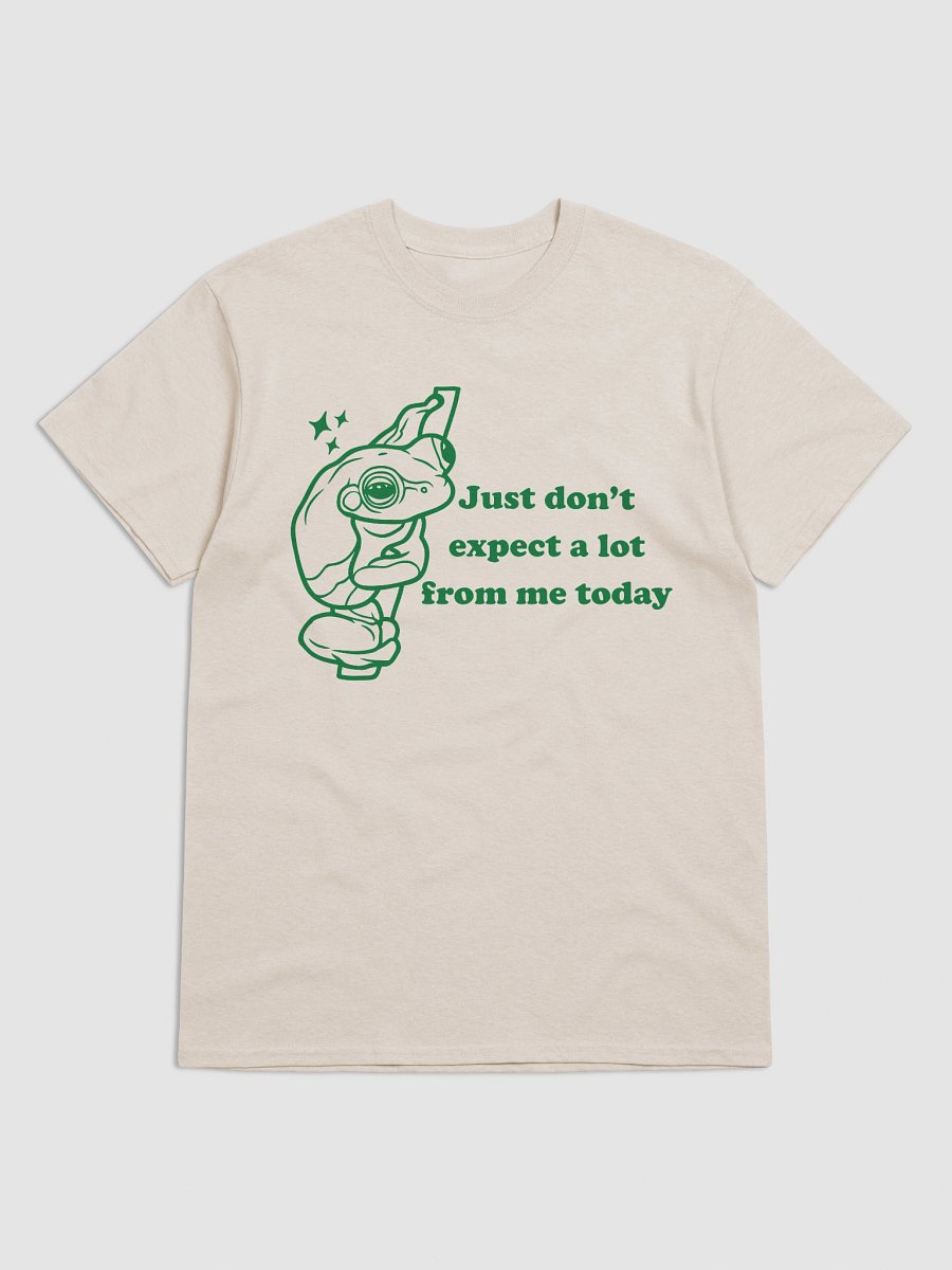 Just dont expect a lot from me today product image (5)