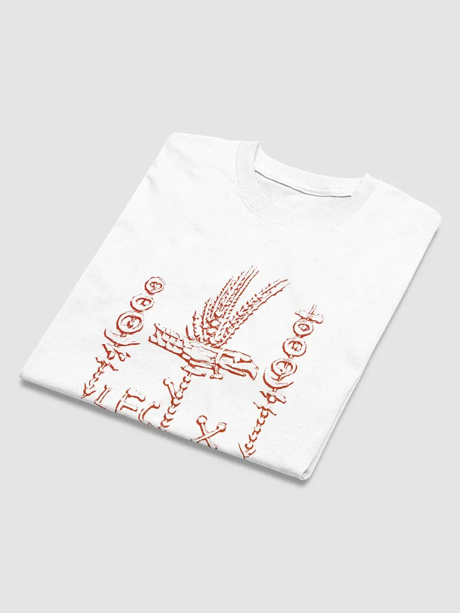 Legion X Legionary Standards Insignia Ancient Rome Art circa 31 BC, T-Shirt product image (18)