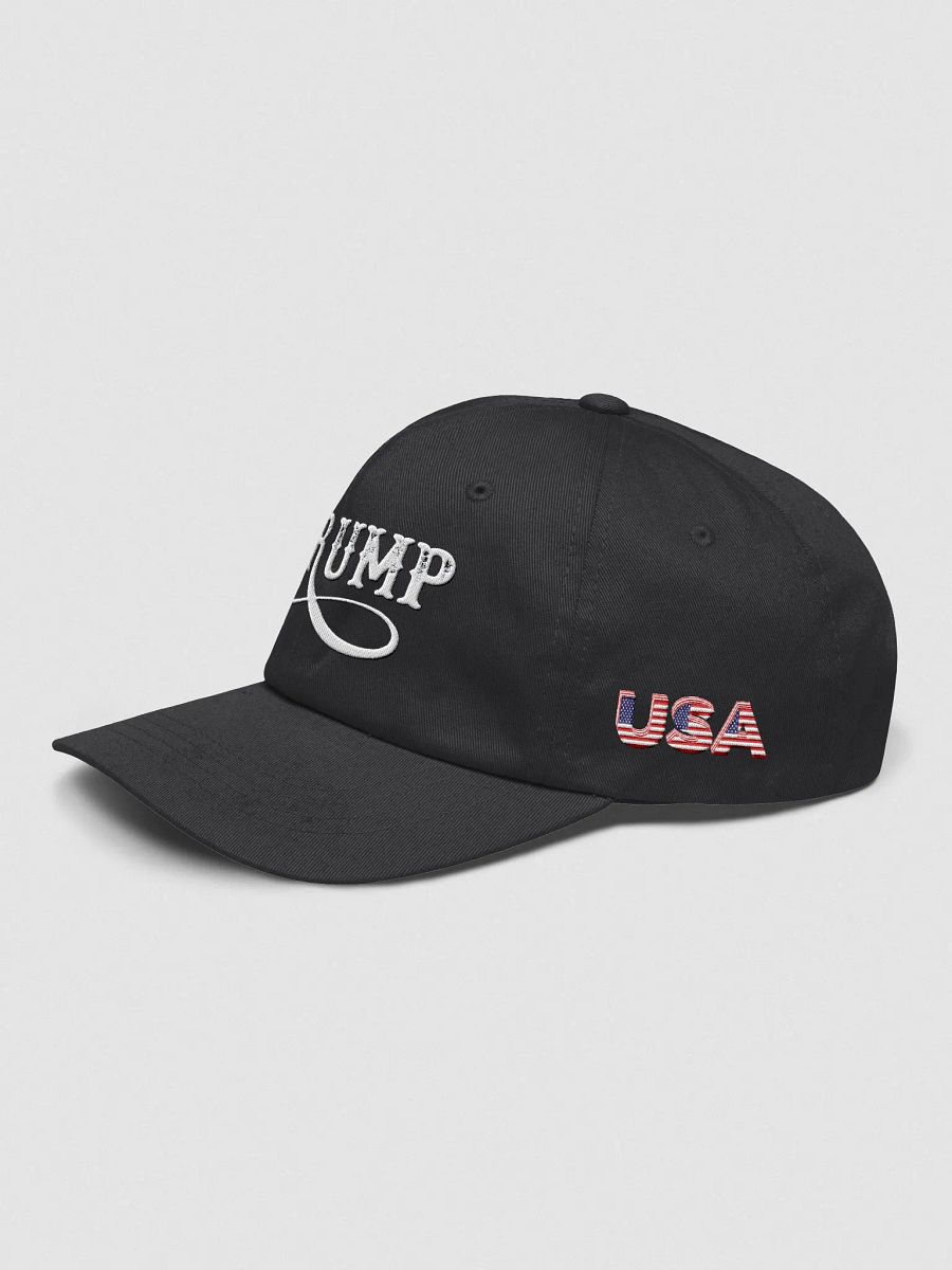 Classic Dad Hat - Trump Edition product image (3)