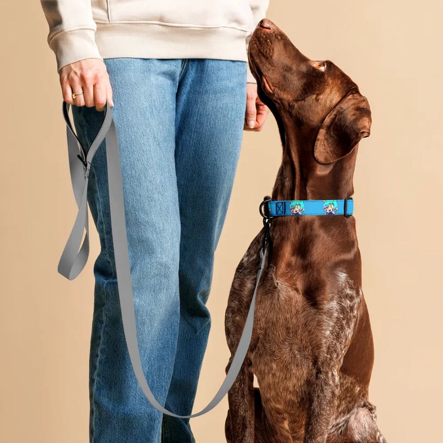 AMP-TWK Collar product image (4)