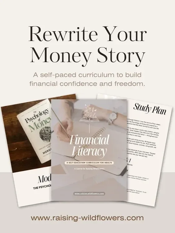 Financial Literacy: A Self-Education Curriculum for Adults product image (1)