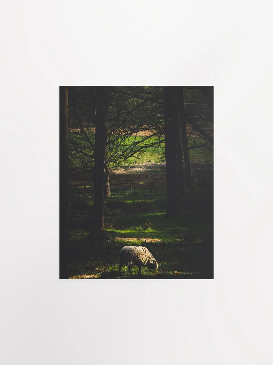 The Goat product image (2)