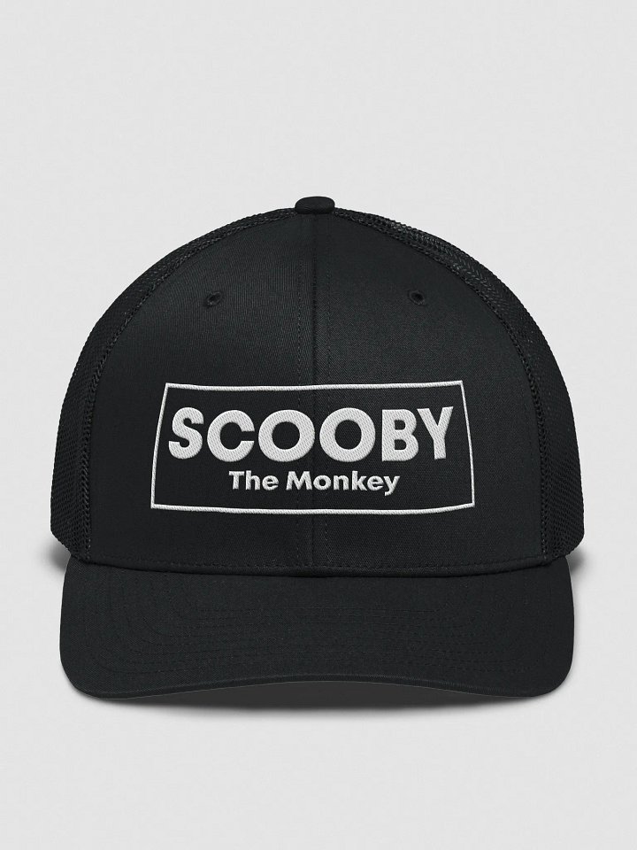 Scooby the Monkey – Hat product image (1)