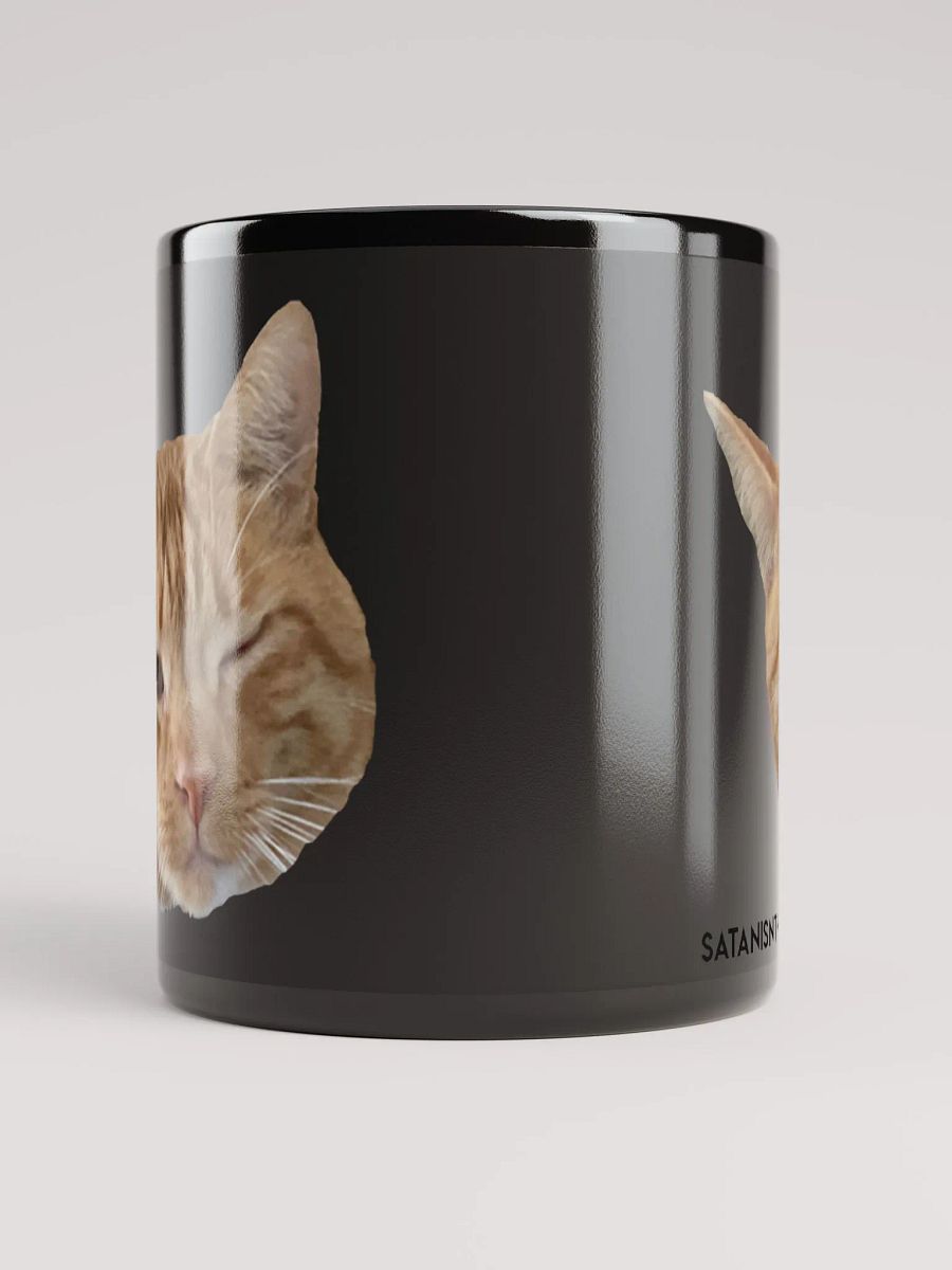 The Duality of Cat - Black product image (5)