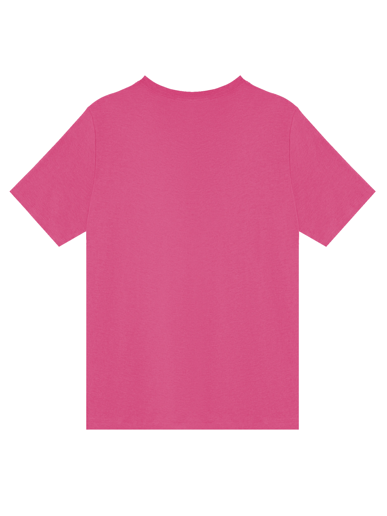 Women's V-Neck T-Shirt product image (4)