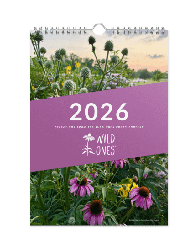 2026 Wall Calendar product image (1)