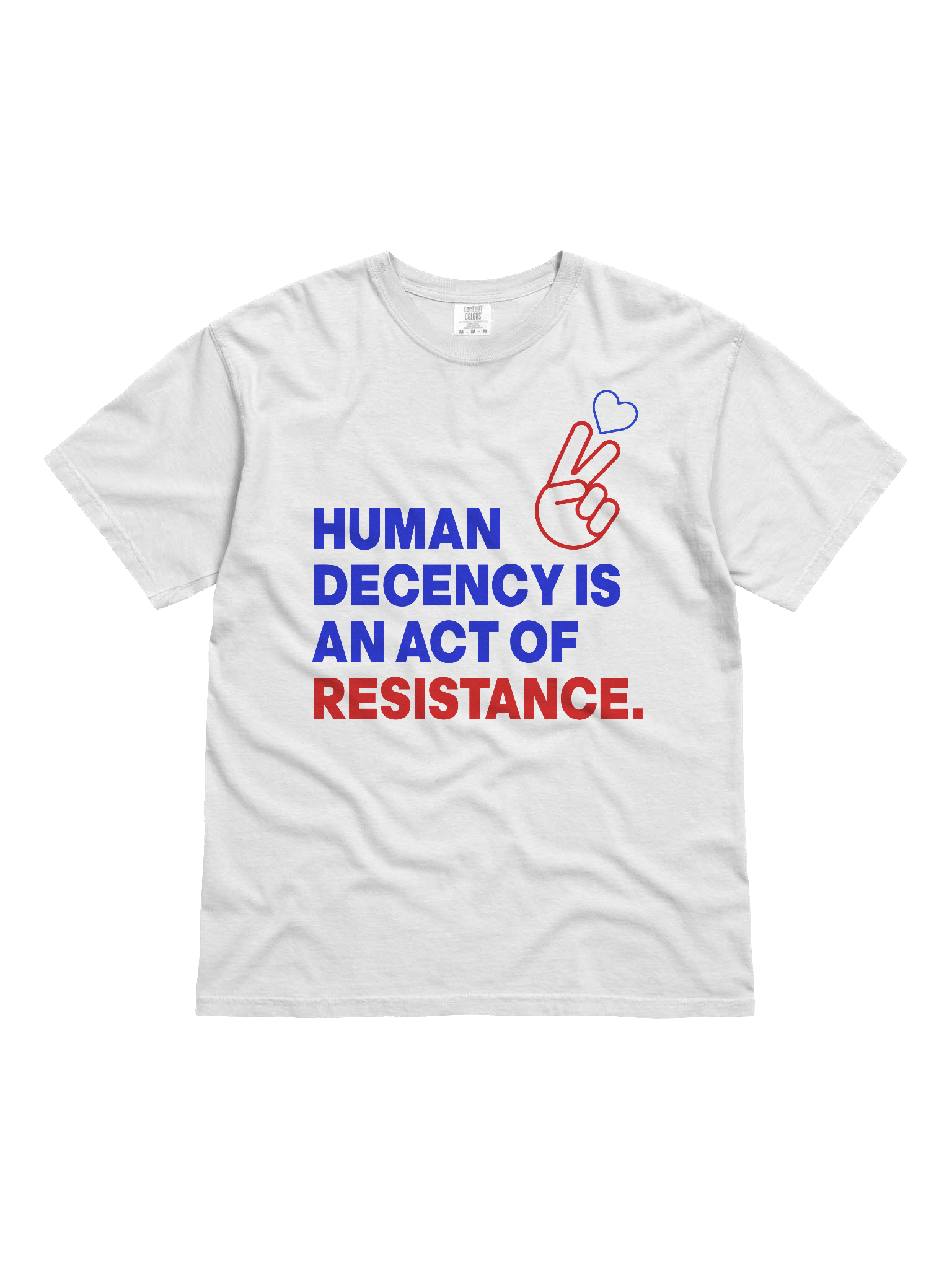 HUMAN DECENCY IS AN ACT OF RESISTANCE product image (1)