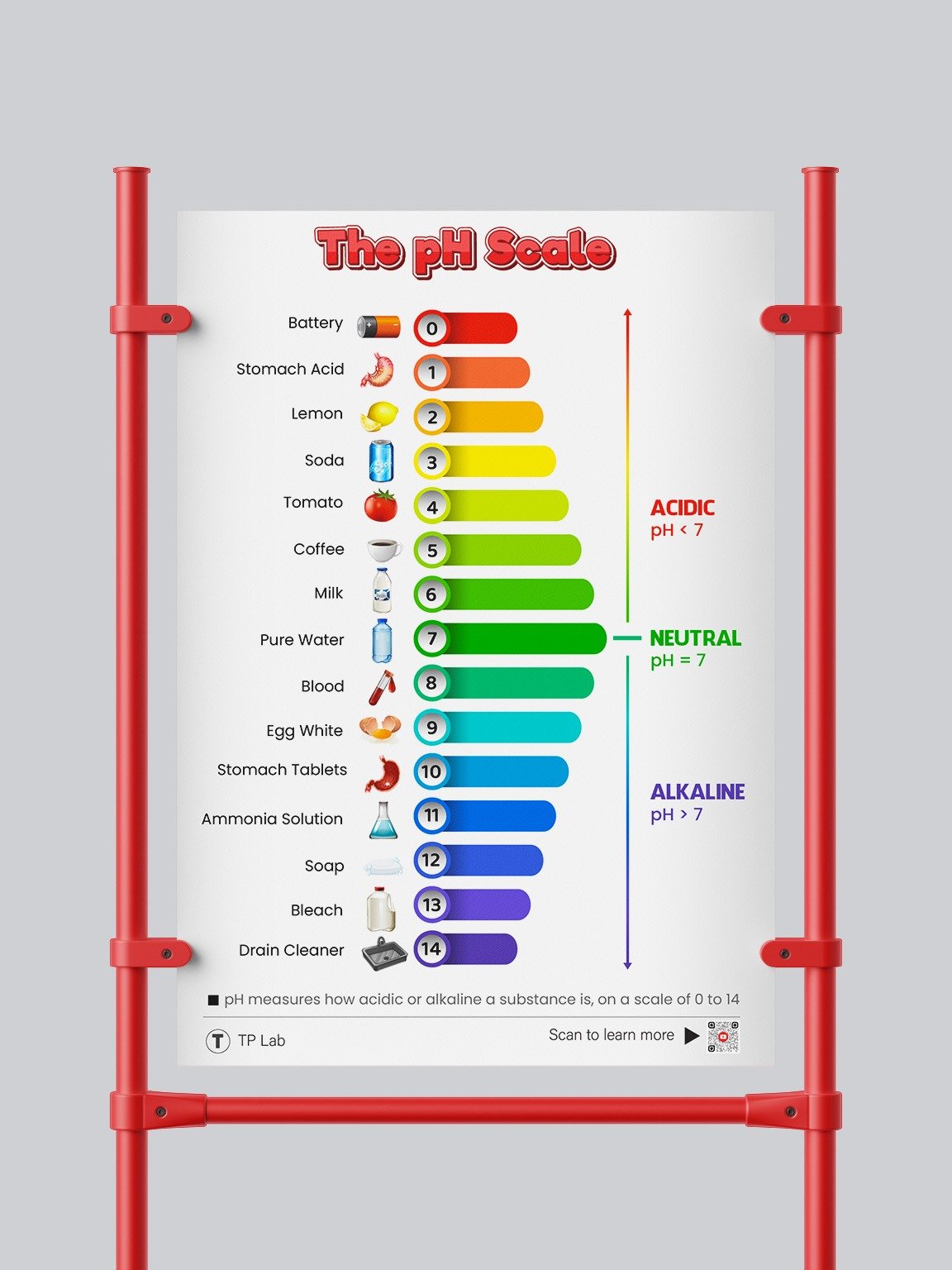 The pH Scale – Colorful and Informative Poster product image (16)