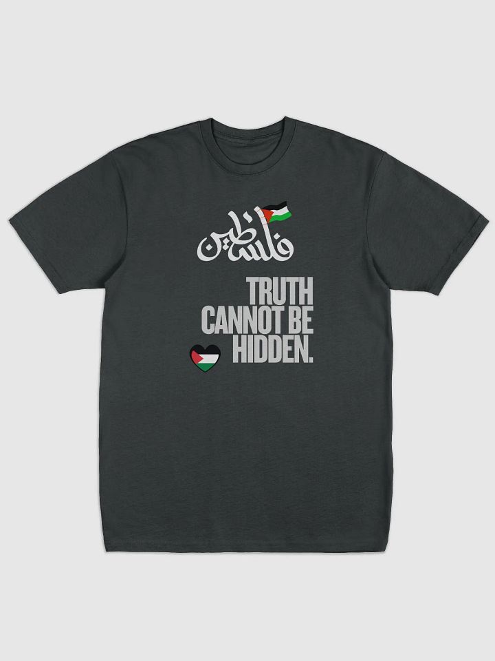 Palestinian Flag Fist Graphic Tee | Truth cannot be hidden. product image (2)