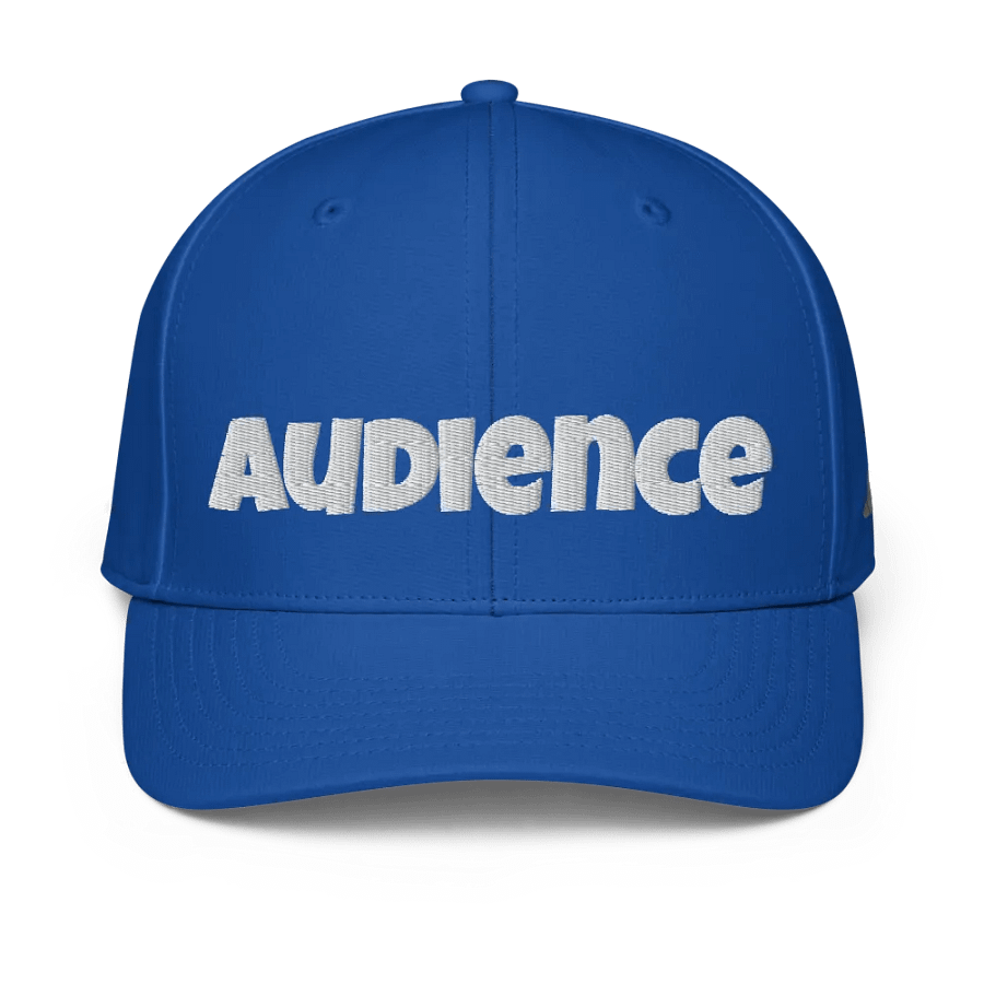 "Audience" baseball hat product image (1)
