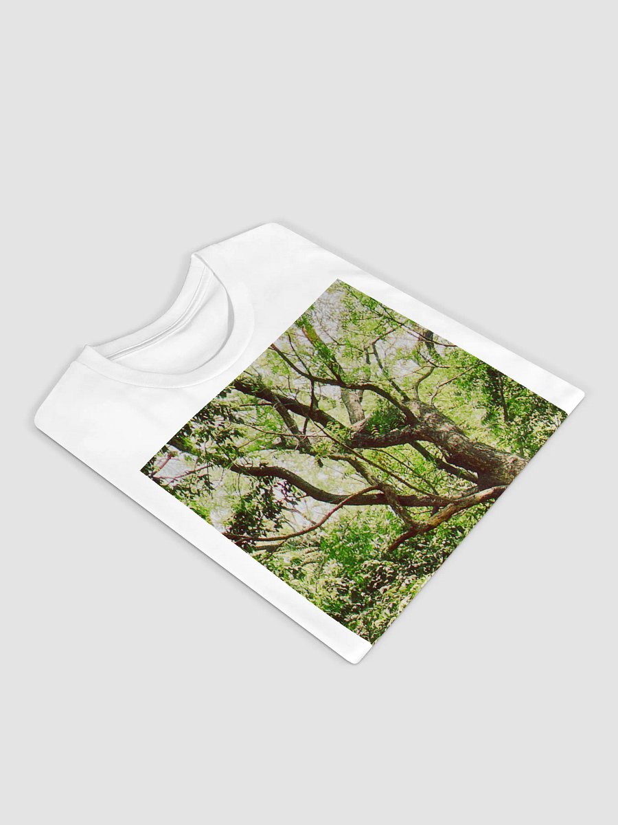 EARTH TONE DIVINE MUSIC TEE product image (3)