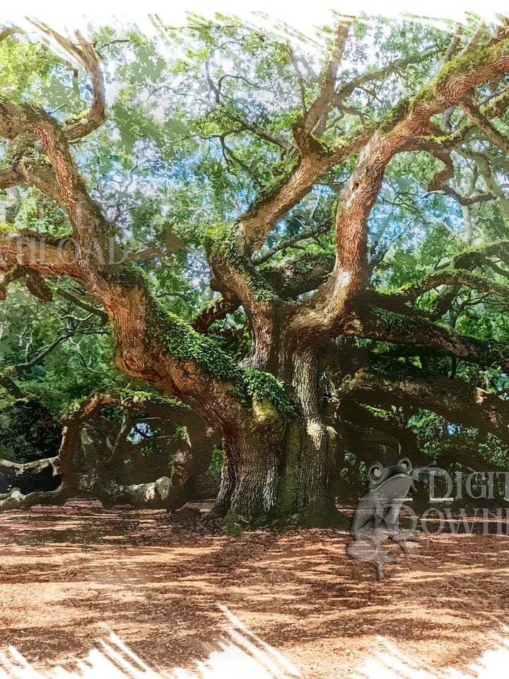 The Angel Oak, Charleston South Carolina Digital Watercolor Image Download product image (1)