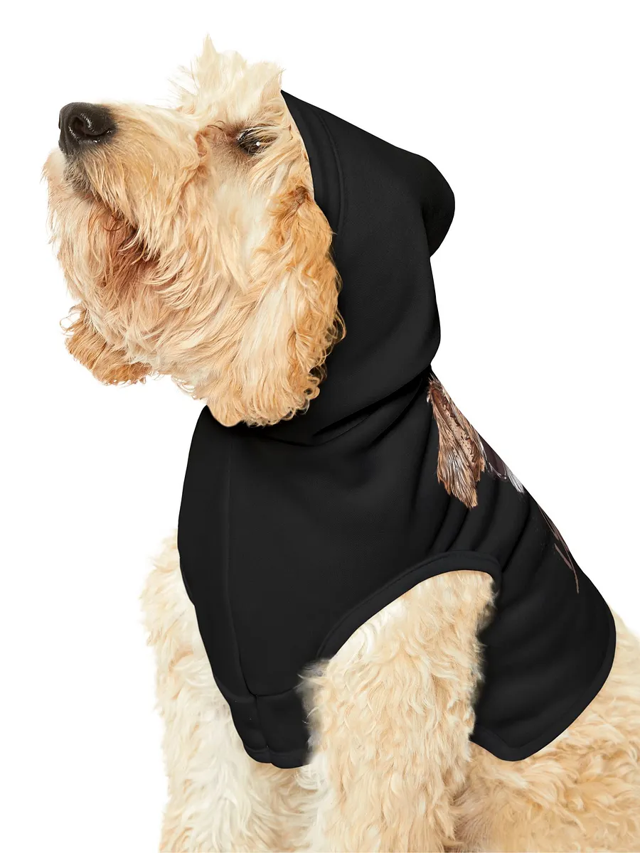 PAPASITOS PAWS OWN PARTY HOODIE product image (6)