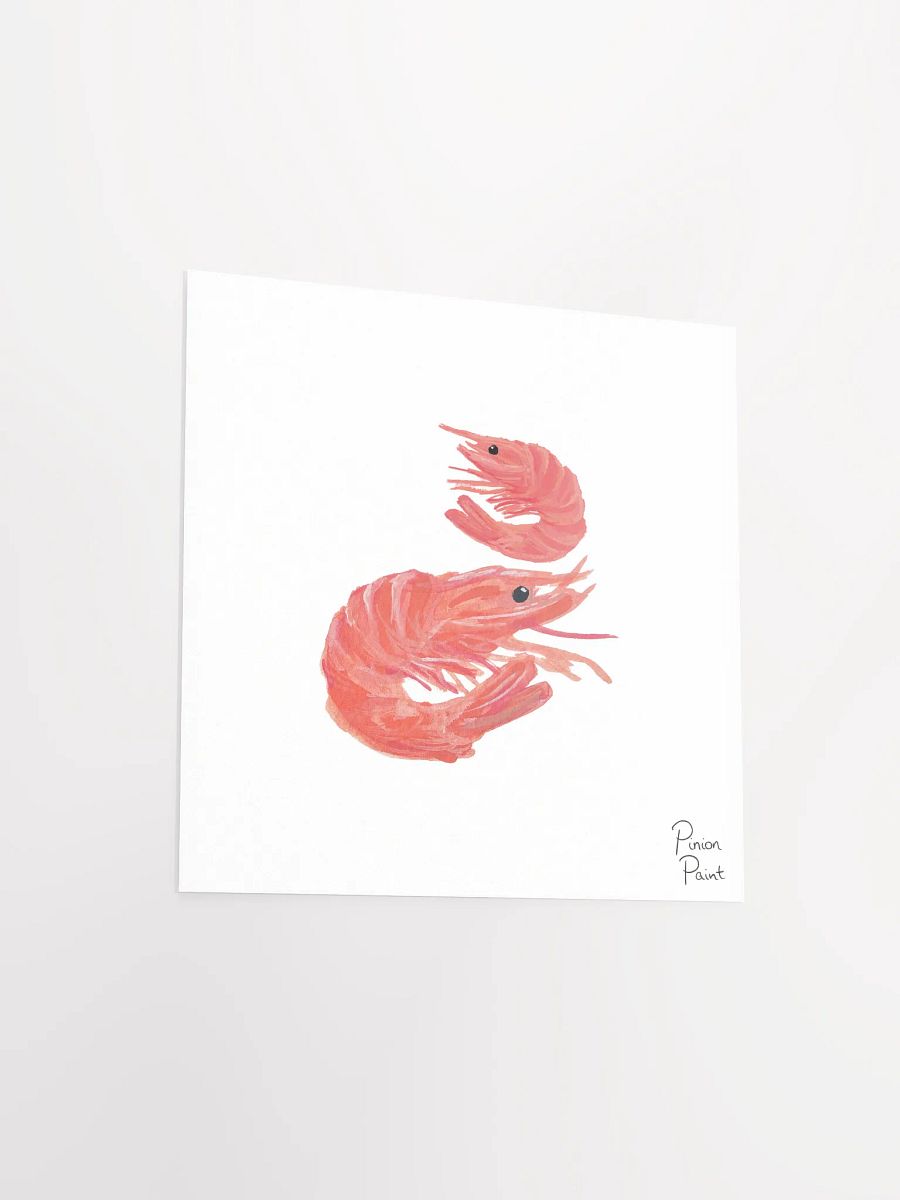 SHROMPS! product image (8)