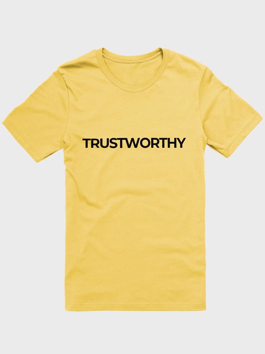 TRUSTWORTHY Human - Spring Shirt product image (1)