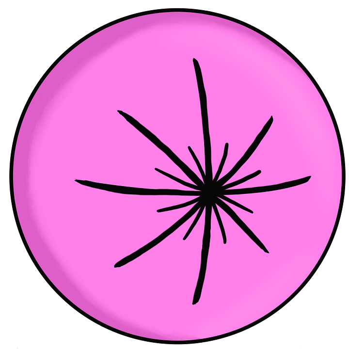 Bort Sticker product image (1)