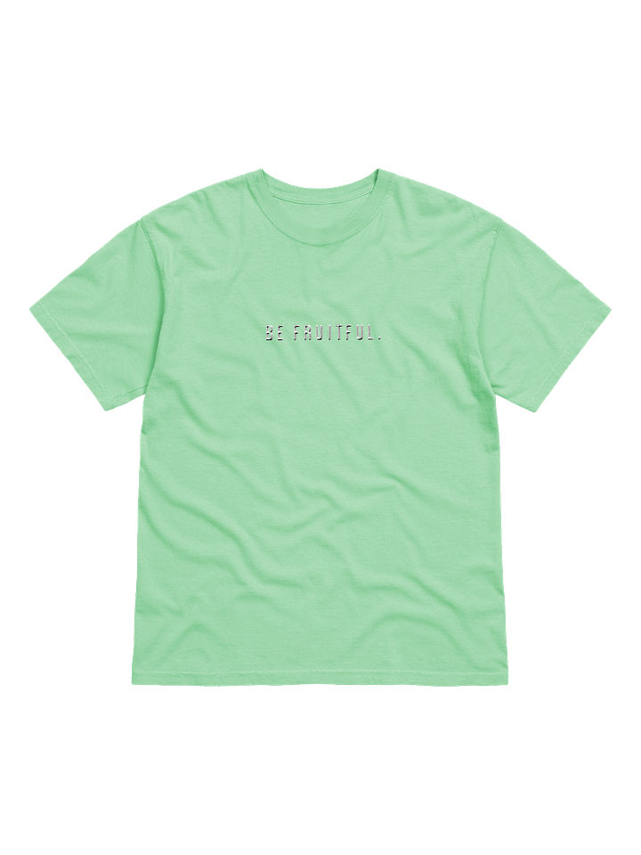 Be Fruitful Embroidered Colored Shirt product image (2)