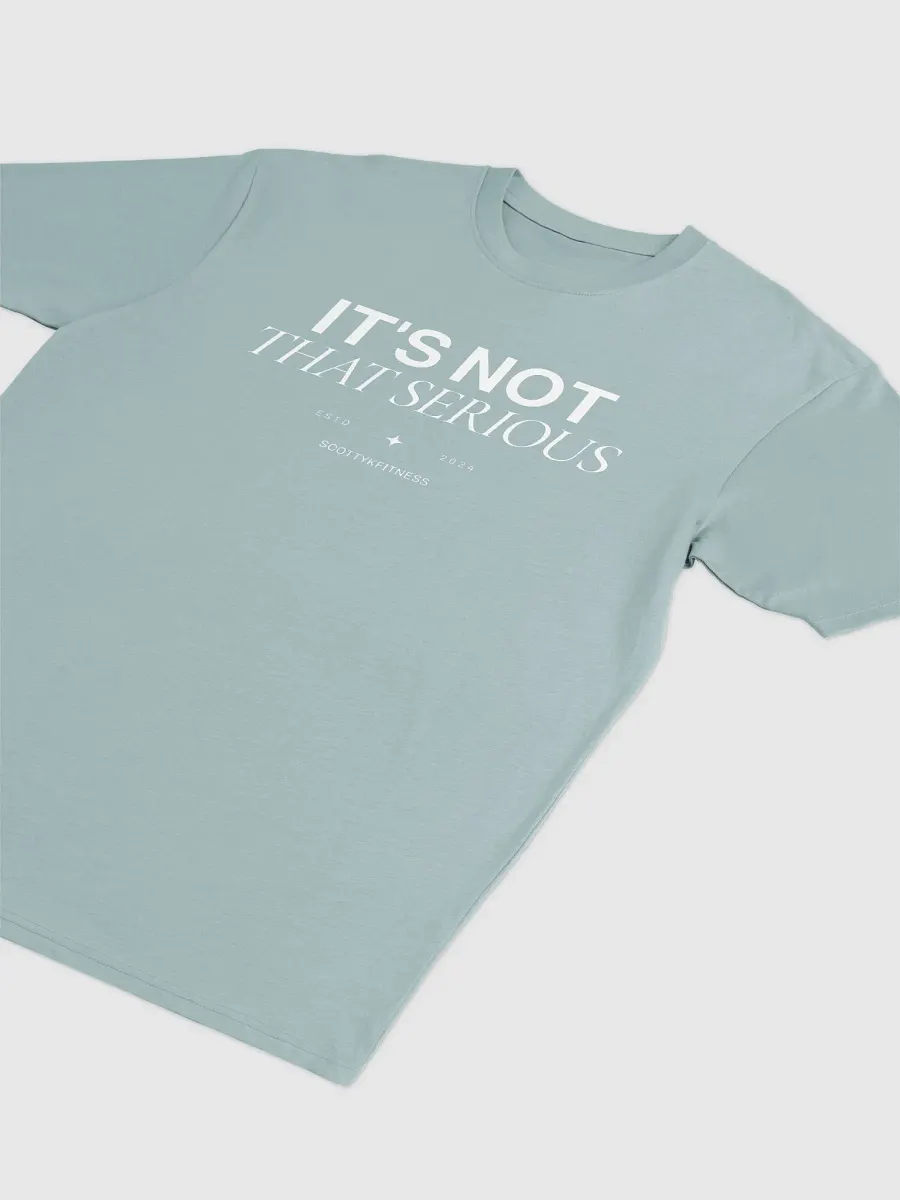 It's Not That Serious Unisex Heavyweight Tee product image (6)