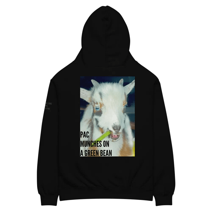 Oversized Hoodie ft. Pac product image (1)