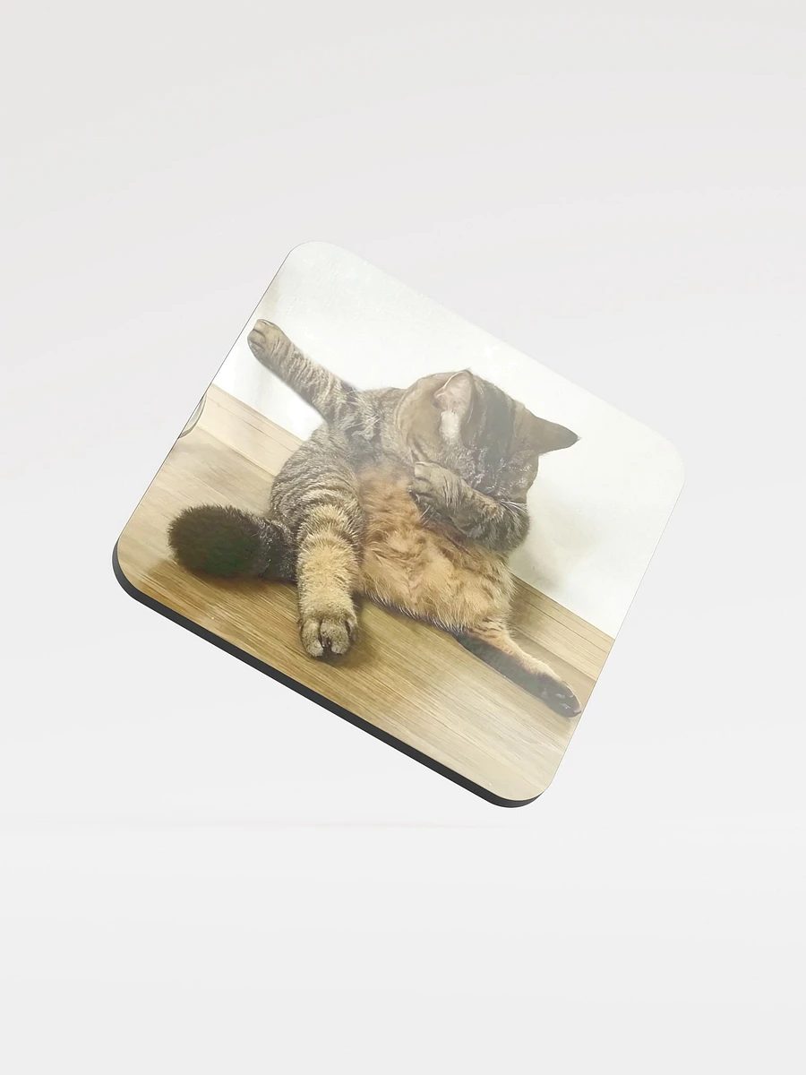 Glossed Cork Coaster: Meme Cats product image (1)