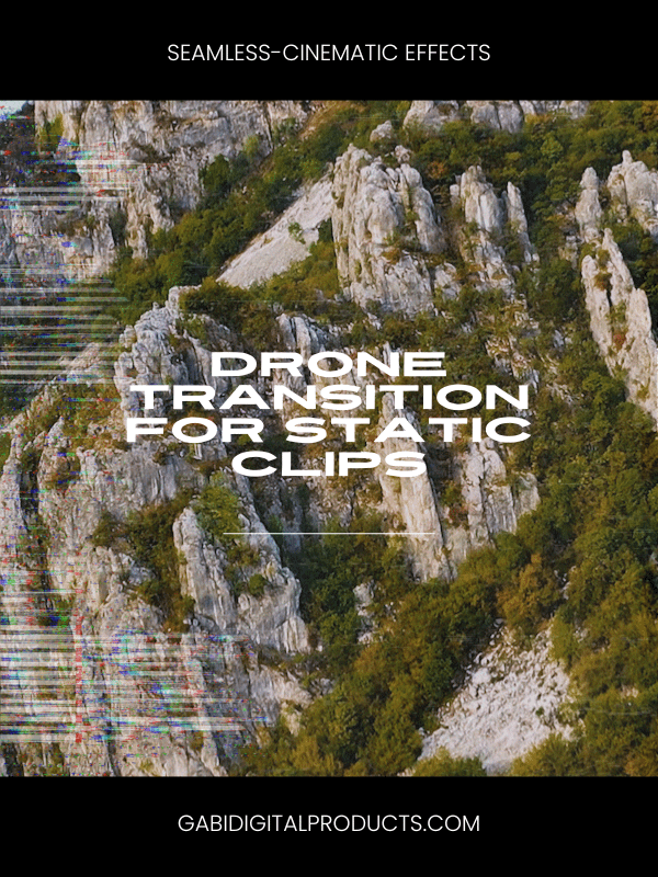 MRR/PLR Premiere SEAMLESS Transitions product image (3)