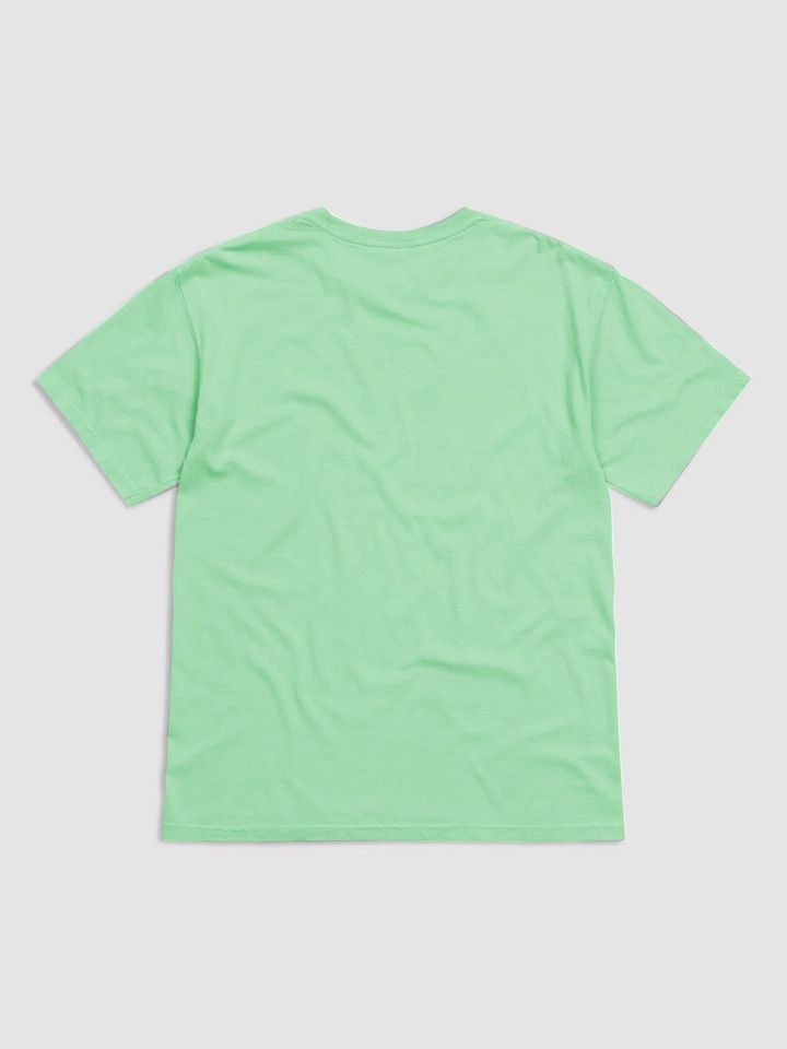 take the plunge, physics graffiti T-Shirt product image (2)