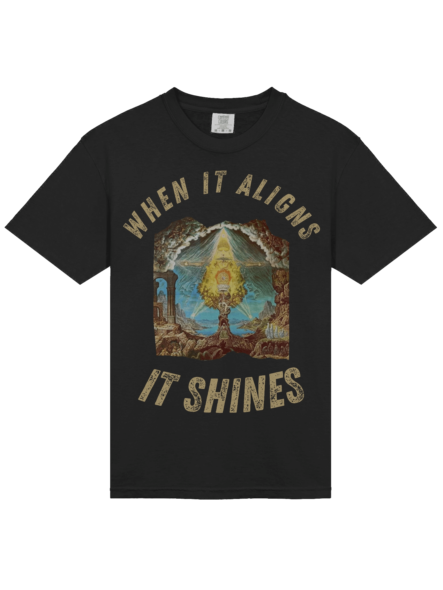 T-Shirt - Male - %100 Cotton (When it Aligns it Shines) product image (3)