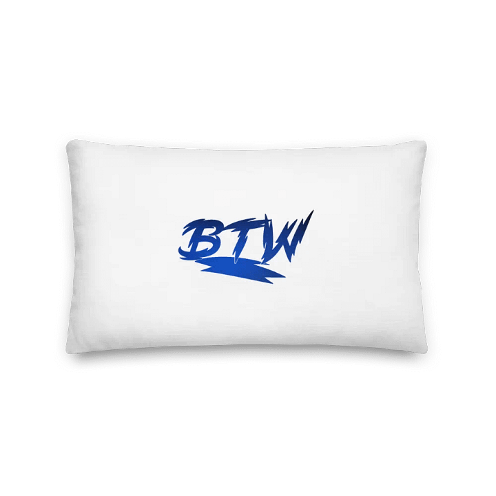 BTW Pillows product image (2)